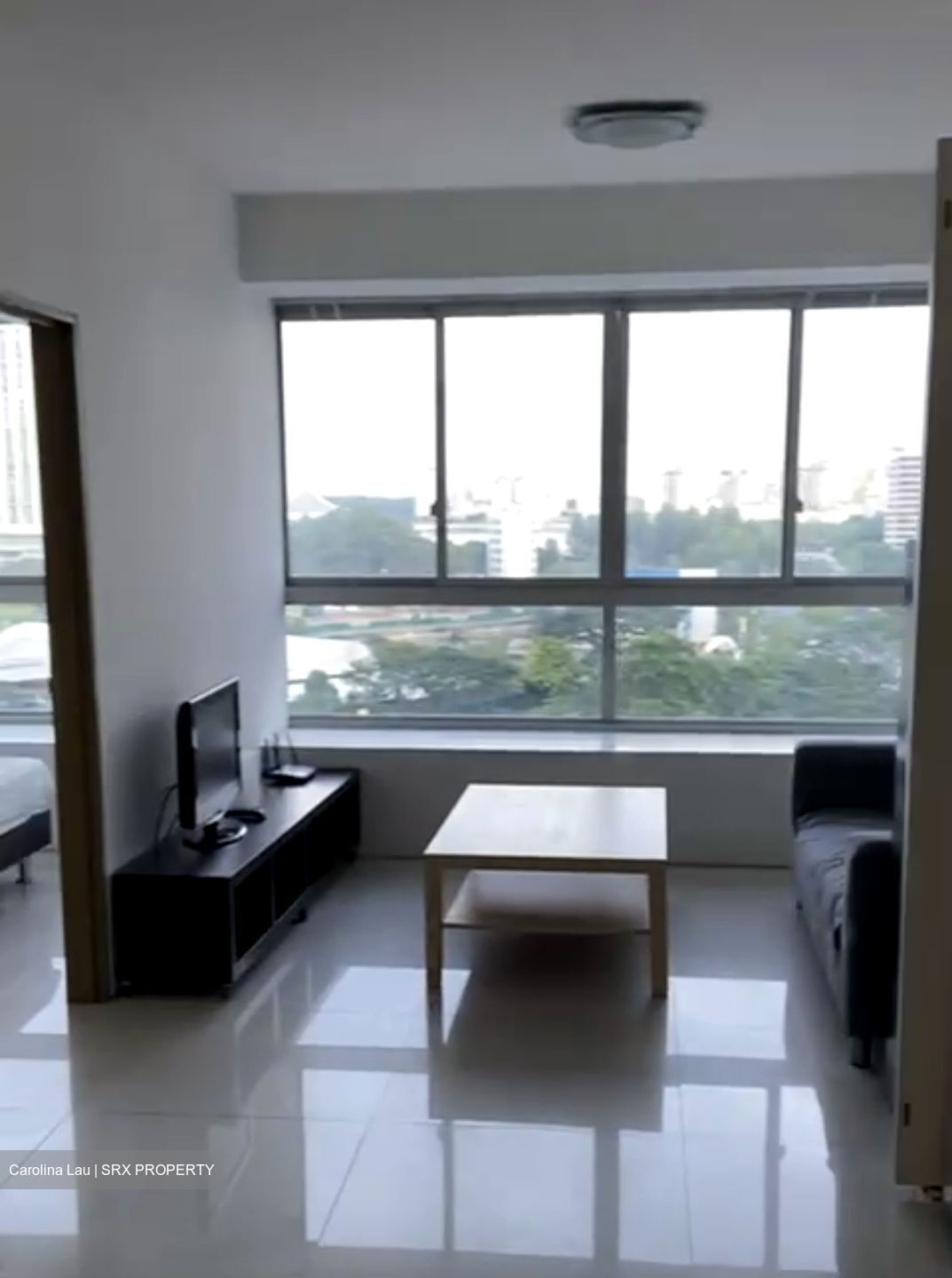 Citylights (D8), Condominium #481780111